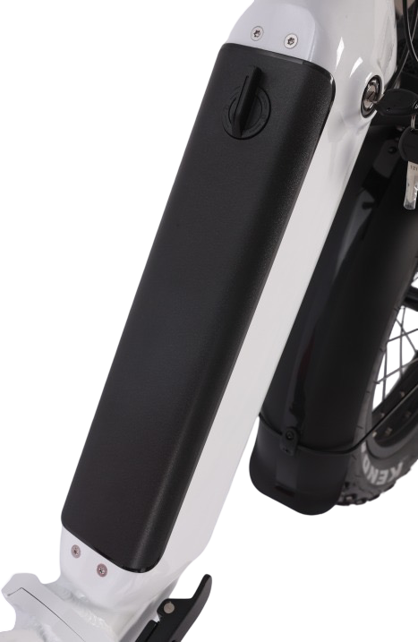 Deilyk Flex folding electric bike battery close-up, premium EV-grade pack by world-class manufacturer with durable build quality