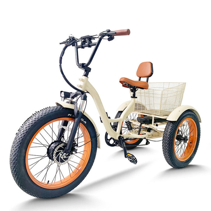 Cargo & Tricycles