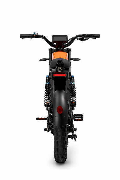 DEILYK AI Smart Electric Bike (LFP Battery Technology)