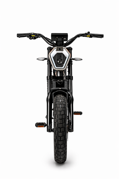 DEILYK AI Smart Electric Bike (LFP Battery Technology)