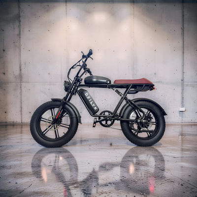 DEILYK RAPTOR — 2nd Generation (long range)