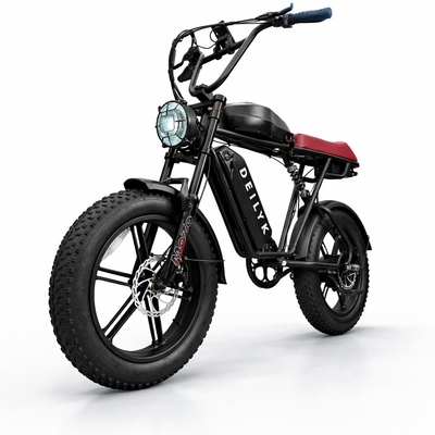 DEILYK RAPTOR — 2nd Generation (long range)
