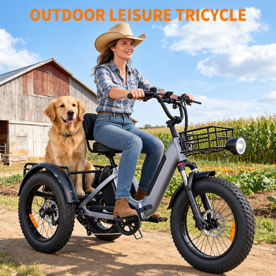 DEILYK Tricycle