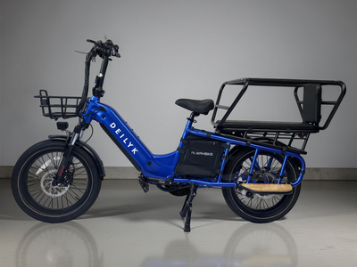 DEILYK CARGO - 2nd Generation