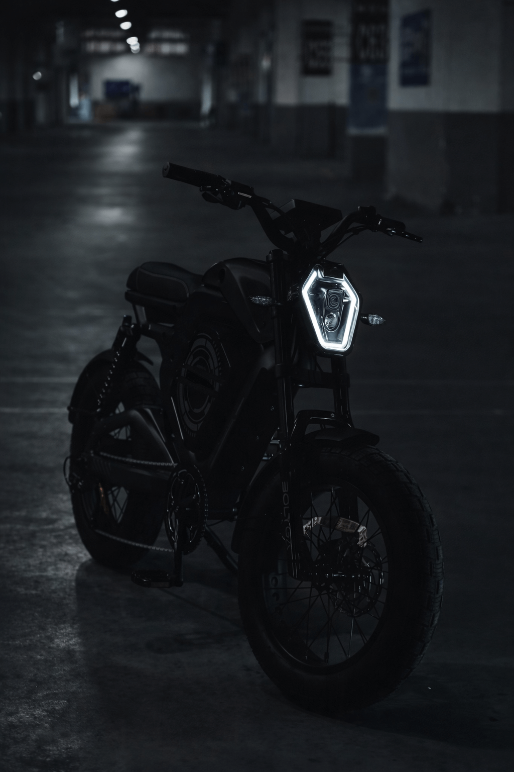 DEILYK AI Smart Electric Bike (LFP Battery Technology)