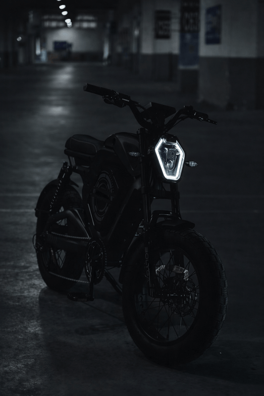 DEILYK AI Smart Electric Bike (LFP Battery Technology)