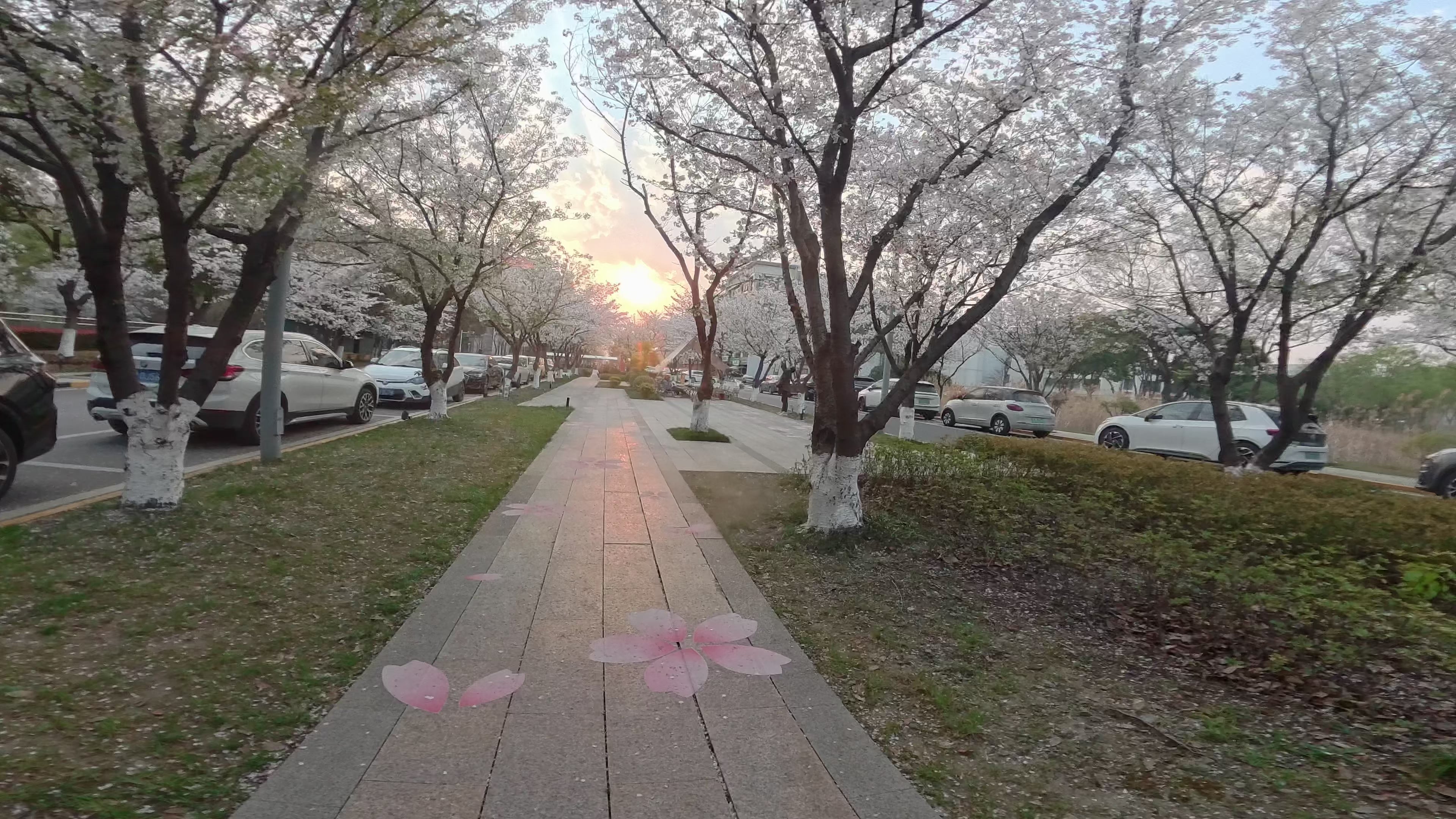 Load video: Forward-facing AI safety camera on a Deilyk electric bike detecting traffic in real time